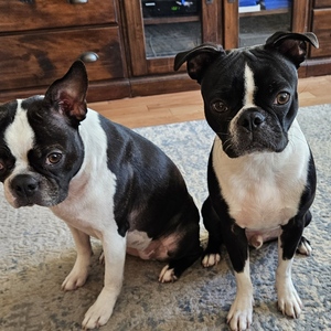 Fundraising Page: Brian Hagerty